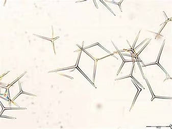 Micro Infusion Serum